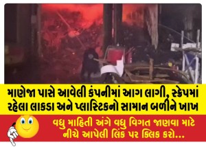 માણેજા પાસે આવેલી કંપનીમાં આગ લાગી, સ્ક્રેપમાં રહેલા લાકડા અને પ્લાસ્ટિકનો સામાન બળીને ખાખ