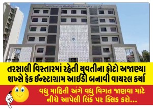 તરસાલી વિસ્તારમાં રહેતી યુવતીના ફોટો અજાણ્યા શખ્સે ફેક ઈન્સ્ટાગ્રામ આઇડી બનાવી વાયરલ કર્યા