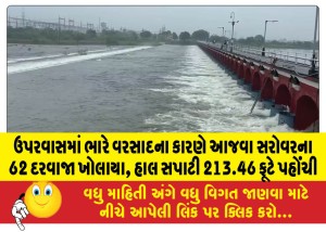 ઉપરવાસમાં ભારે વરસાદના કારણે આજવા સરોવરના 62 દરવાજા ખોલાયા, હાલ સપાટી 213.46 ફૂટે પહોંચી