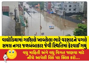 વાઘોડિયામાં ગઈકાલે ખાબકેલા ભારે વરસાદને પગલે સમગ્ર નગર જળબંબાકાર જેવી સ્થિતિમાં ફેરવાઈ ગયું