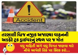 તરસાલી બ્રિજ નજીક અજાણ્યા વાહનની અડફેટે ટ્રક ડ્રાઇવરનું સ્થળ પર જ મોત