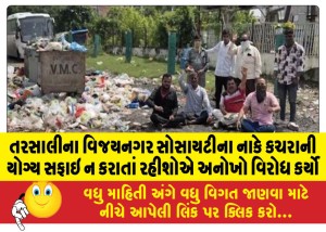 તરસાલીના વિજયનગર સોસાયટીના નાકે કચરાની યોગ્ય સફાઇ ન કરાતાં રહીશોએ અનોખો વિરોધ કર્યો