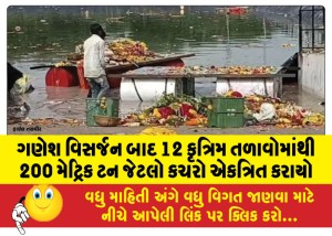 ગણેશ વિસર્જન બાદ 12 કૃત્રિમ તળાવોમાંથી 200 મેટ્રિક ટન જેટલો કચરો એકત્રિત કરાયો