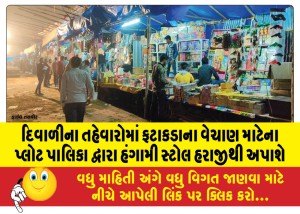 દિવાળીના તહેવારોમાં ફટાકડાના વેચાણ માટેના પ્લોટ પાલિકા દ્વારા હંગામી સ્ટોલ હરાજીથી અપાશે