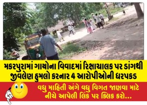 મકરપુરામાં ગાયોના વિવાદમાં રિક્ષાચાલક પર ડાંગથી જીવલેણ હુમલો કરનાર 4 આરોપીઓની ધરપકડ