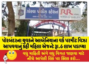 પોરબંદરના યુવકને અલ્બેનિયાના વર્ક પરમીટ વિઝા આપવવાનું કહી મહિલા એજન્ટે રૂા.6 લાખ પડાવ્યા