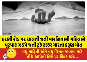હરણી રોડ પર ચાલતી જતી વારસિયાની મહિલાને પૂરપાટ ઝડપે જતી ટ્રકે ટક્કર મારતા કરૂણ મોત
