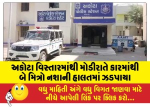 અકોટા વિસ્તારમાંથી મોડીરાતે કારમાંથી બે મિત્રો નશાની હાલતમાં ઝડપાયા