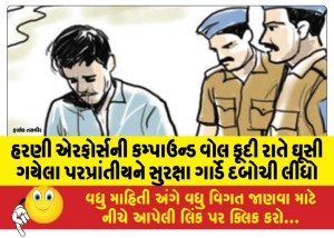 હરણી એરફોર્સની કમ્પાઉન્ડ વોલ કૂદી રાતે ઘૂસી ગયેલા પરપ્રાંતીયને સુરક્ષા ગાર્ડે દબોચી લીધો