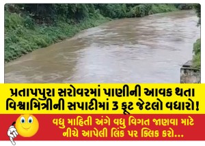 પ્રતાપપુરા સરોવરમાં પાણીની આવક થતા વિશ્વામિત્રીની સપાટીમાં 3 ફૂટ જેટલો વધારો!