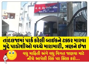તાંદલજામાં પાર્ક કરેલી બાઇકને ટક્કર મારવા મુદ્દે પાડોશીઓ વચ્ચે મારામારી, ત્રણને ઇજા