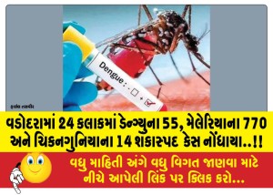 વડોદરામાં 24 કલાકમાં ડેન્ગ્યુના 55, મેલેરિયાના 770 અને ચિકનગુનિયાના 14 શંકાસ્પદ  કેસ નોંધાયા..!!