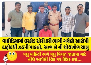 વાઘોડિયામાં ઘરફોડ ચોરી કરી ભાગી ગયેલો આરોપી દાહોદથી ઝડપી પાડ્યો, અન્ય બે ની શોધખોળ ચાલુ