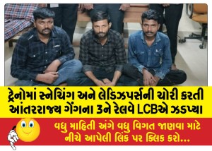 ટ્રેનોમાં સ્નેચિંગ અને લેડિઝપર્સની ચોરી કરતી આંતરરાજ્ય ગેંગના 3ને રેલવે LCBએ ઝડપ્યા
