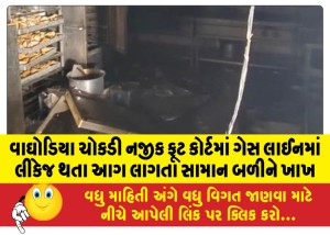 વાઘોડિયા ચોકડી નજીક ફૂટ કોર્ટમાં ગેસ લાઈનમાં લીકેજ થતા આગ લાગતા સામાન બળીને ખાખ