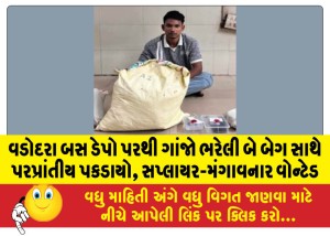 વડોદરા બસ ડેપો પરથી ગાંજો ભરેલી બે બેગ સાથે પરપ્રાંતીય પકડાયો, સપ્લાયર-મંગાવનાર વોન્ટેડ