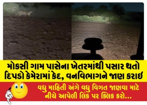 મોકસી ગામ પાસેના ખેતરમાંથી પસાર થતો દિપડો કેમેરામાં કેદ, વનવિભાગને જાણ કરાઇ