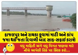 ફાજલપુર અને રાયકા કૂવામાં માટી અને કાંપ જમા થઈ જતા દિવાળી બાદ સાફ-સફાઇ કરાશે
