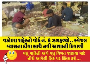 વડોદરા શહેરનો વોર્ડ નં. 8 ઝળહળ્યો.. સ્વેજલ વ્યાસના દીવા સાથે નવી આશાની દિવાળી