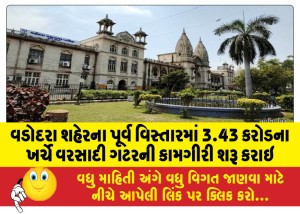 વડોદરા શહેરના પૂર્વ વિસ્તારમાં 3.43 કરોડના ખર્ચે વરસાદી ગટરની કામગીરી શરૂ કરાઇ