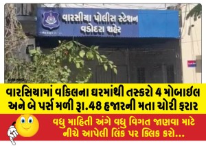 વારસિયામાં વકિલના ઘરમાંથી તસ્કરો 4 મોબાઇલ અને બે પર્સ મળી રૂા.48 હજારની મતા ચોરી ફરાર