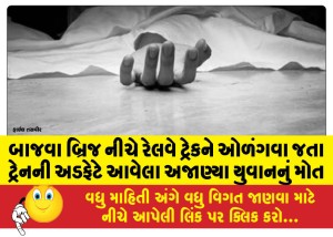 બાજવા બ્રિજ નીચે રેલવે ટ્રેકને ઓળંગવા જતા ટ્રેનની અડફેટે આવેલા અજાણ્યા યુવાનનું મોત
