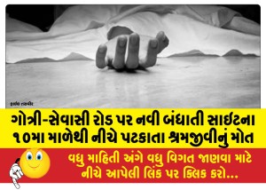 ગોત્રી-સેવાસી રોડ પર નવી બંધાતી સાઇટના ૧૦મા માળેથી નીચે પટકાતા શ્રમજીવીનું મોત