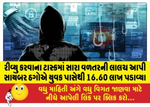 રીવ્યુ કરવાના ટાસ્કમાં સારા વળતરની લાલચ આપી સાયબર ઠગોએ યુવક પાસેથી 16.60 લાખ પડાવ્યા