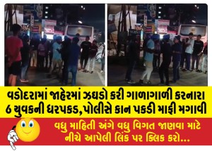 વડોદરામાં જાહેરમાં ઝઘડો કરી ગાળાગાળી કરનારા 6 યુવકની ધરપકડ,પોલીસે કાન પકડી માફી મગાવી