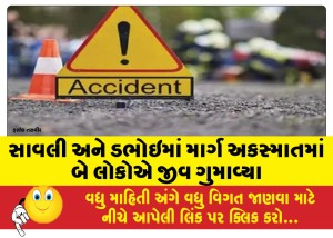 ડભોઇમાં કાર અને એક્ટિવા વચ્ચે અકસ્માત  સર્જાતા એક્ટિવાચાલકનું ઘટનાસ્થળ પર જ મોત નિપજ્યું