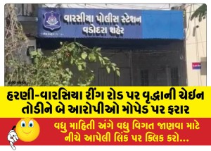 હરણી-વારસિયા રીંગ રોડ પર વૃદ્ધાની ચેઇન તોડીને બે આરોપીઓ મોપેડ પર ફરાર