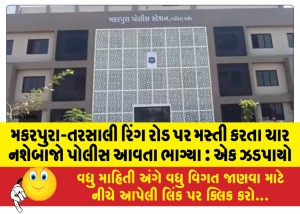 મકરપુરા-તરસાલી રિંગ રોડ પર મસ્તી કરતા ચાર નશેબાજો પોલીસ આવતા ભાગ્યા : એક ઝડપાયો