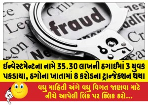 ઇન્વેસ્ટમેન્ટના નામે 35.30 લાખની ઠગાઈમાં 3 યુવક પકડાયા, ઠગોના ખાતામાં 8 કરોડના ટ્રાન્જેક્શન થયા