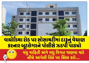 વાઘોડિયા રોડ પર સોસાયટીમાં દારૂનું વેચાણ કરનાર બૂટલેગરને પોલીસે ઝડપી પાડ્યો