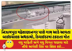MailVadodara.com - Biker-hit-by-cow-near-Nizampura-Mehsananagar-dies-after-hitting-divider