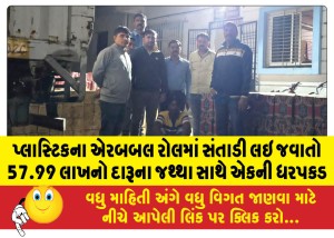 MailVadodara.com - One-arrested-with-liquor-worth-Rs-57-99-lakh-hidden-in-plastic-air-bubble-roll