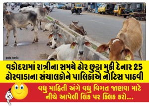 વડોદરામાં રાત્રીના સમયે ઢોર છુટ્ટા મુકી દેનાર 25 ઢોરવાડાના સંચાલકોને પાલિકાએ નોટિસ પાઠવી
