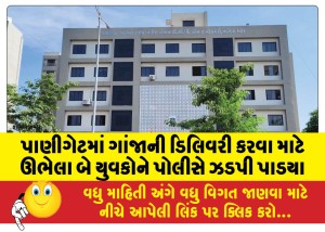 પાણીગેટમાં ગાંજાની ડિલિવરી કરવા માટે ઊભેલા બે યુવકોને પોલીસે ઝડપી પાડયા