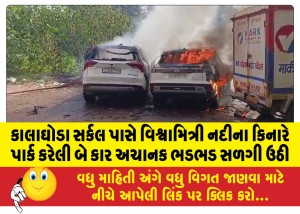 કાલાઘોડા સર્કલ પાસે વિશ્વામિત્રી નદીના કિનારે પાર્ક કરેલી બે કાર અચાનક ભડભડ સળગી ઉઠી