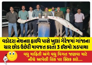 વડોદરા નેશનલ હાઈવે પાસે ખુલ્લાં ગેરેજમાં ગાંજાના ચાર છોડ ઉછેરી માવજત કરતા 3 ઈસમો ઝડપાયા