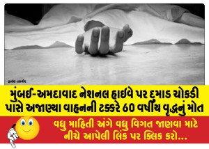 મુંબઈ-અમદાવાદ નેશનલ હાઇવે પર દુમાડ ચોકડી પાસે અજાણ્યા વાહનની ટક્કરે 60 વર્ષીય વૃદ્ધનું મોત