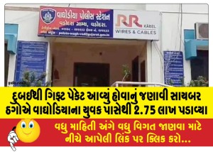 દુબઈથી ગિફ્ટ પેકેટ આવ્યું હોવાનું જણાવી સાયબર ઠગોએ વાઘોડિયાના યુવક પાસેથી 2.75 લાખ પડાવ્યા