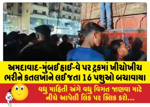 અમદાવાદ-મુંબઈ હાઈ-વે પર ટ્રકમાં ખીચોખીચ ભરીને કતલખાને લઈ જતા 16 પશુઓ બચાવાયા