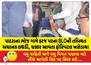 પાદરાના ભોજ ગામે ફરજ પરના BLOની તબિયત અચાનક લથડી, ચક્કર આવતા હોસ્પિટલ ખસેડાયા