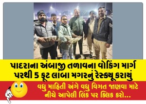 પાદરાના અંબાજી તળાવના વોકિંગ માર્ગ પરથી 5 ફૂટ લાંબા મગરનું રેસ્ક્યૂ કરાયું