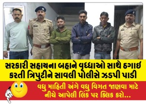 સરકારી સહાયના બહાને વૃધ્ધાઓ સાથે ઠગાઇ કરતી ત્રિપુટીને સાવલી પોલીસે ઝડપી પાડી