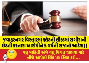 MailVadodara.com - 5-year-sentence-for-the-accused-who-molested-a-minor-in-the-lift-of-a-flat-in-Jawaharnagar-area