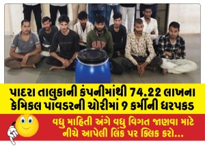 પાદરા તાલુકાની કંપનીમાંથી 74.22 લાખના કેમિકલ પાવડરની ચોરીમાં 9 કર્મીની ધરપકડ