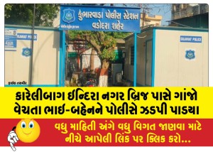 કારેલીબાગ ઇન્દિરા નગર બ્રિજ પાસે ગાંજો વેચતા ભાઇ-બહેનને પોલીસે ઝડપી પાડયા