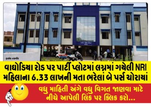 વાઘોડિયા રોડ પર પાર્ટી પ્લોટમાં લગ્નમાં ગયેલી NRI મહિલાના 6.33 લાખની મતા ભરેલાં બે પર્સ ચોરાયાં